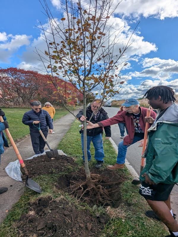 October 26 Tree Planting Workshop 8-600x800.jpg