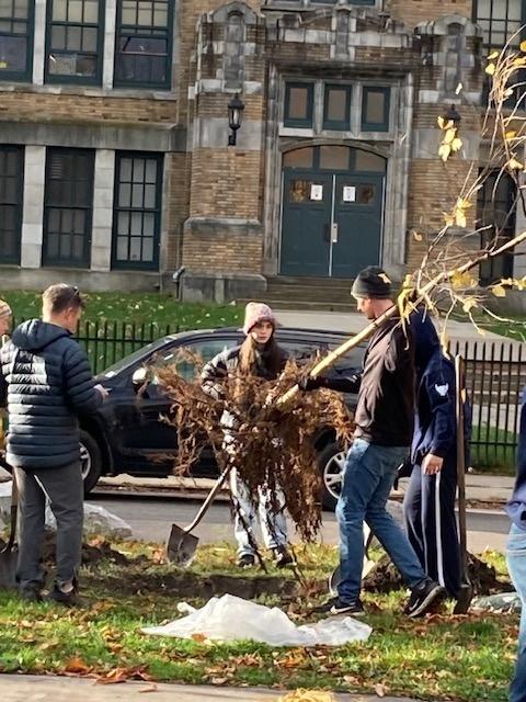 November 2 Tree Planting