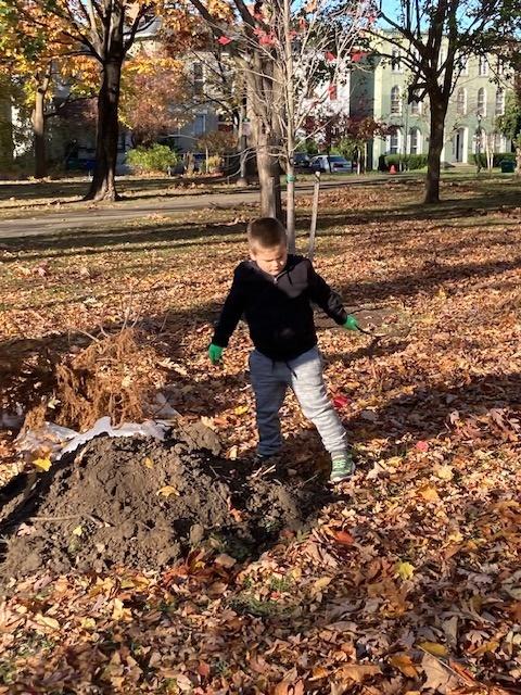 November 2 tree planting