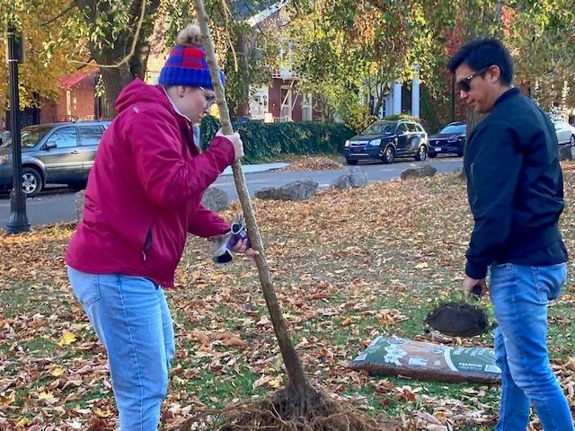 November 2 Tree Planting