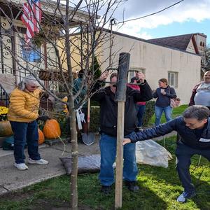 October 26 Tree Planting Workshop1-800x600.jpg