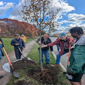 October 26 Tree Planting Workshop 8-600x800.jpg