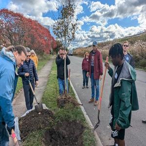 November 2 Tree Planting