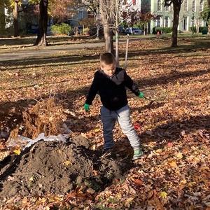 November 2 tree planting