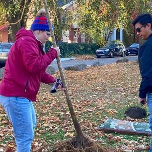 November 2 Tree Planting