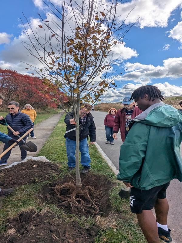 October 26 Tree Planting Workshop 2-600x800.jpg