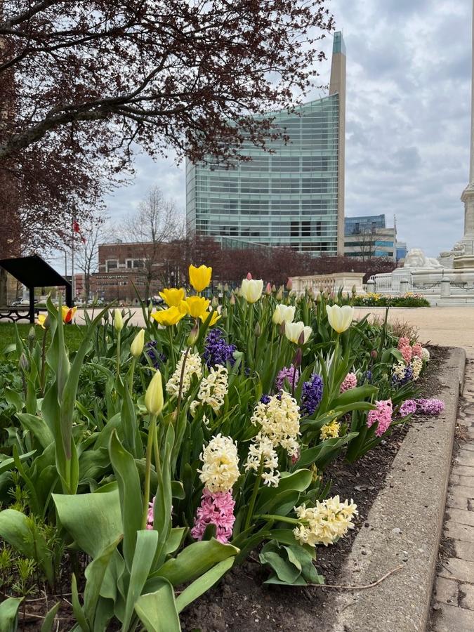 Buffalo in Bloom 1.jpg