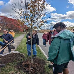 October 26 Tree Planting Workshop 2-600x800.jpg